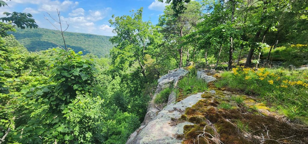 0 Roth Point Road, Altamont