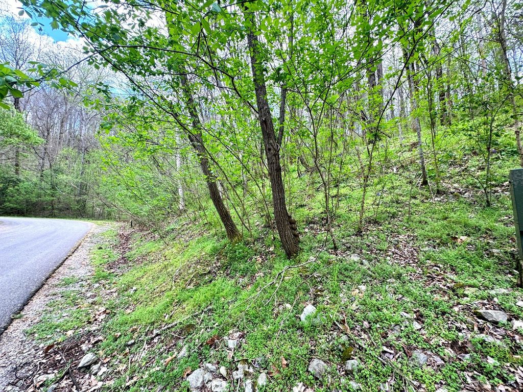 0 Lakeview Dr, Smithville