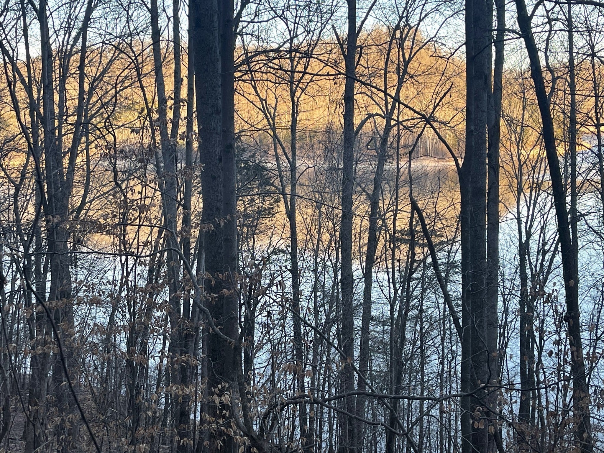 Photo of Listing #3167054