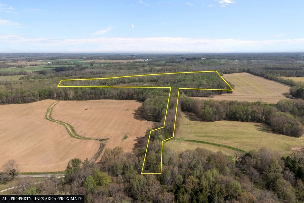 2715 Herrondale East Road, Henry