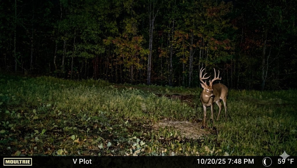 Photo of Listing #3168077