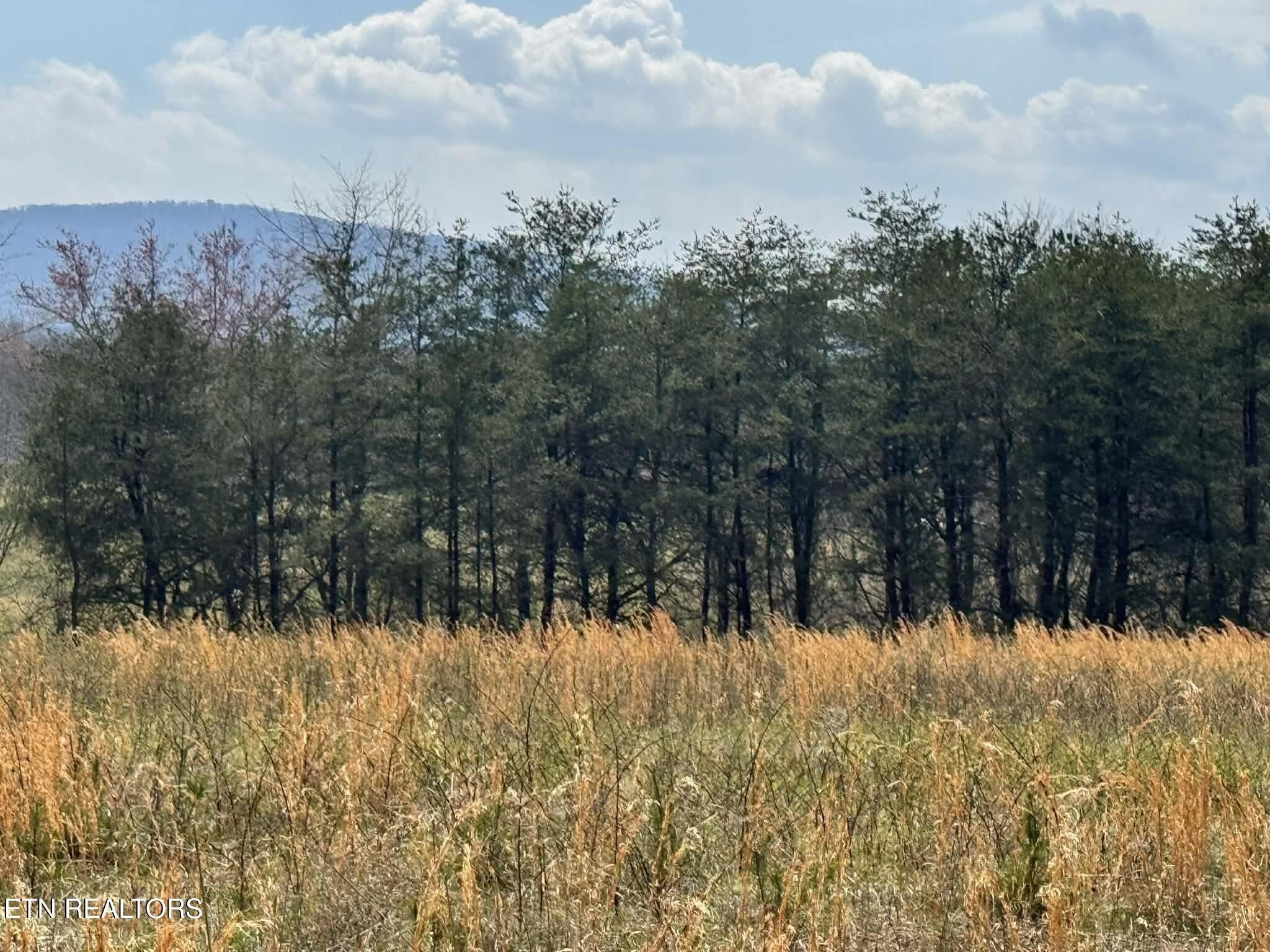 Photo of Listing #3168110