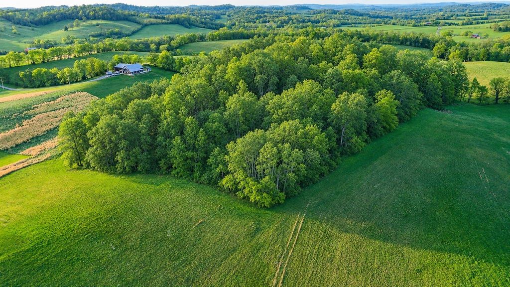 0 John Brinkley Rd, Shelbyville