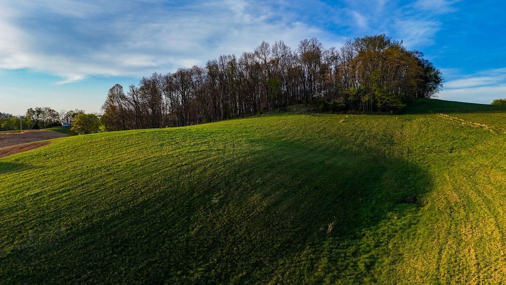 0 John Brinkley Rd, Shelbyville