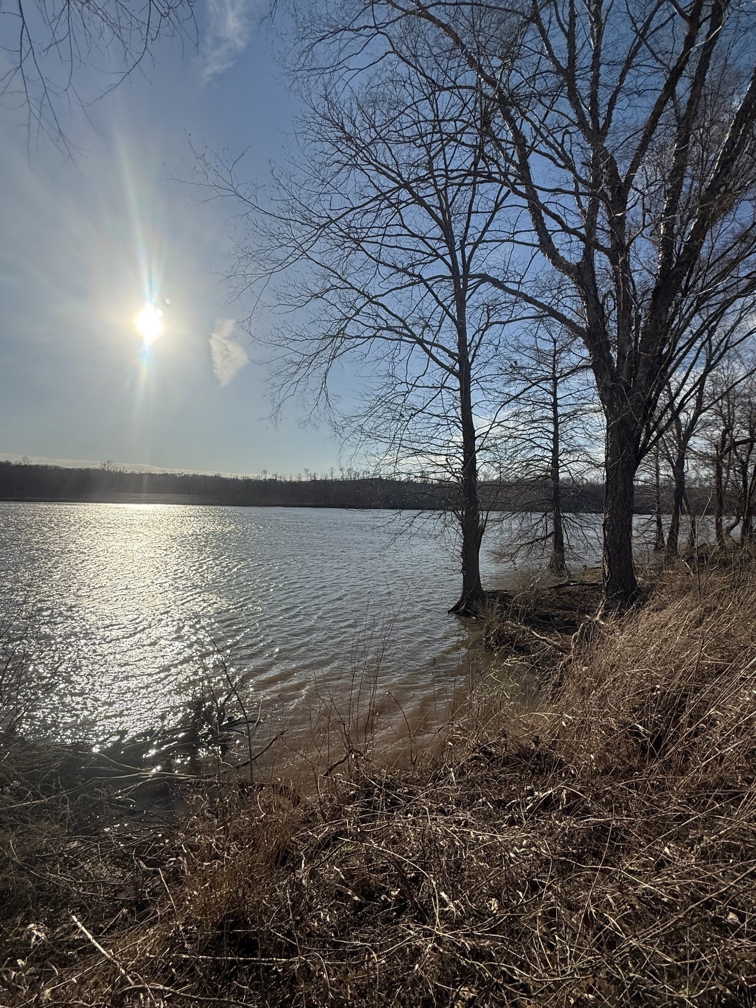 Photo of Listing #3168371