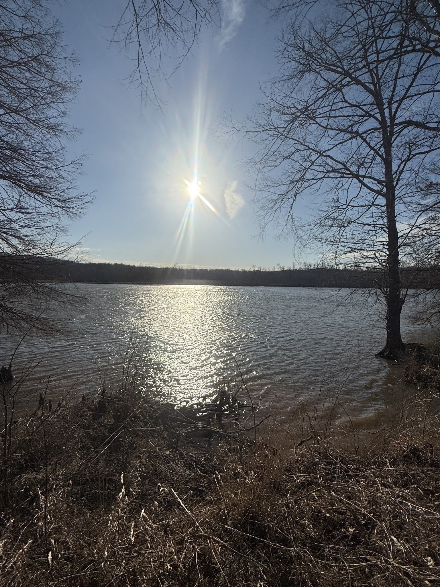 Photo of Listing #3168372