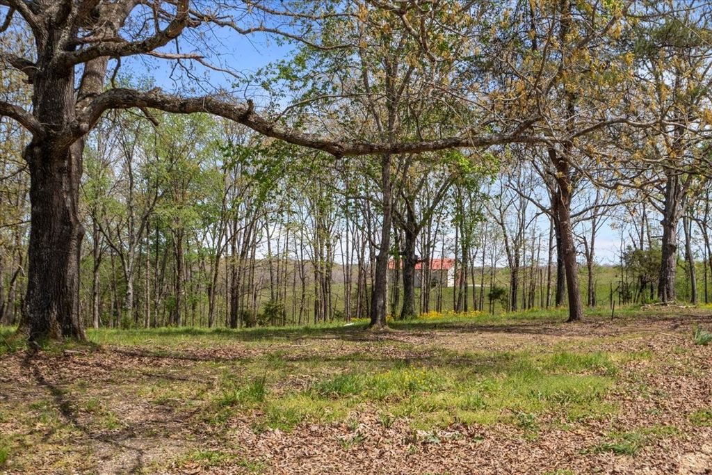 1837 Humphreys Co Line Rd, Dickson