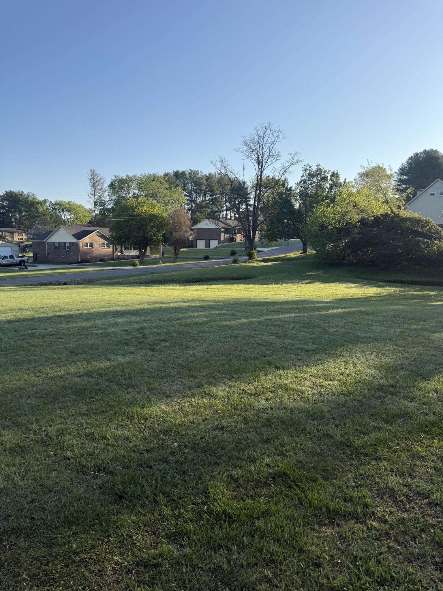 Photo of Listing #3169527