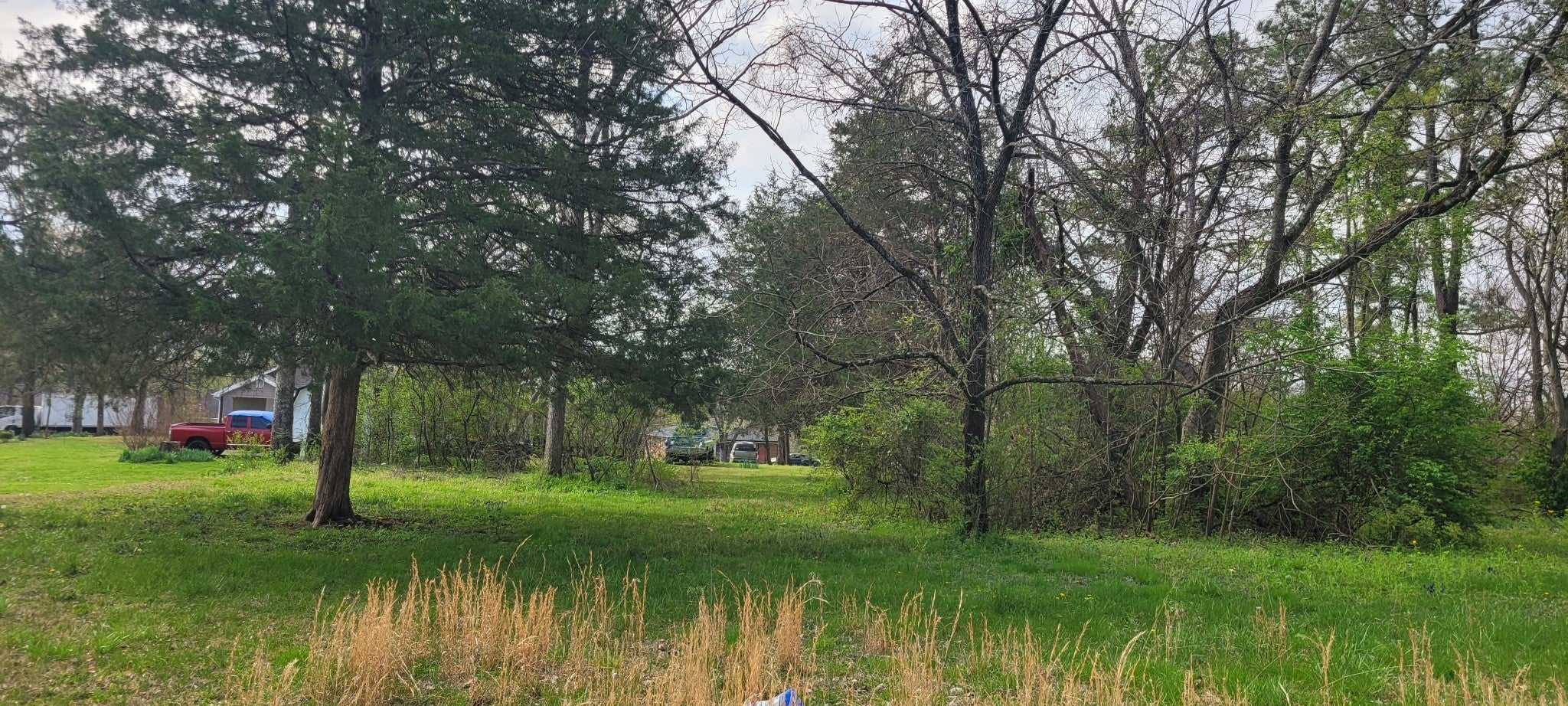 Photo of Listing #3169909