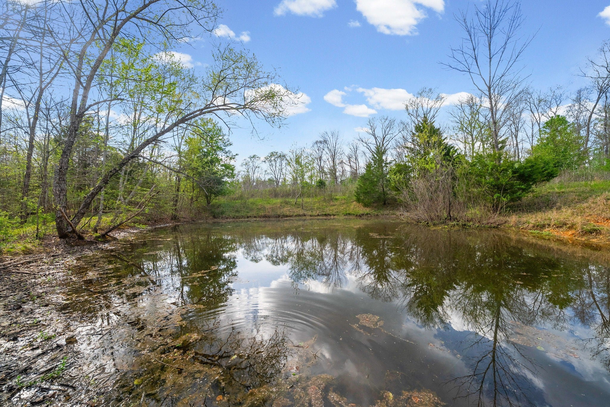 Photo of Listing #3169990