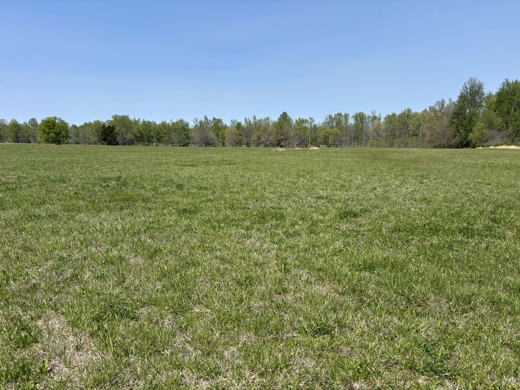 0 Hollow Springs Road, Bradyville