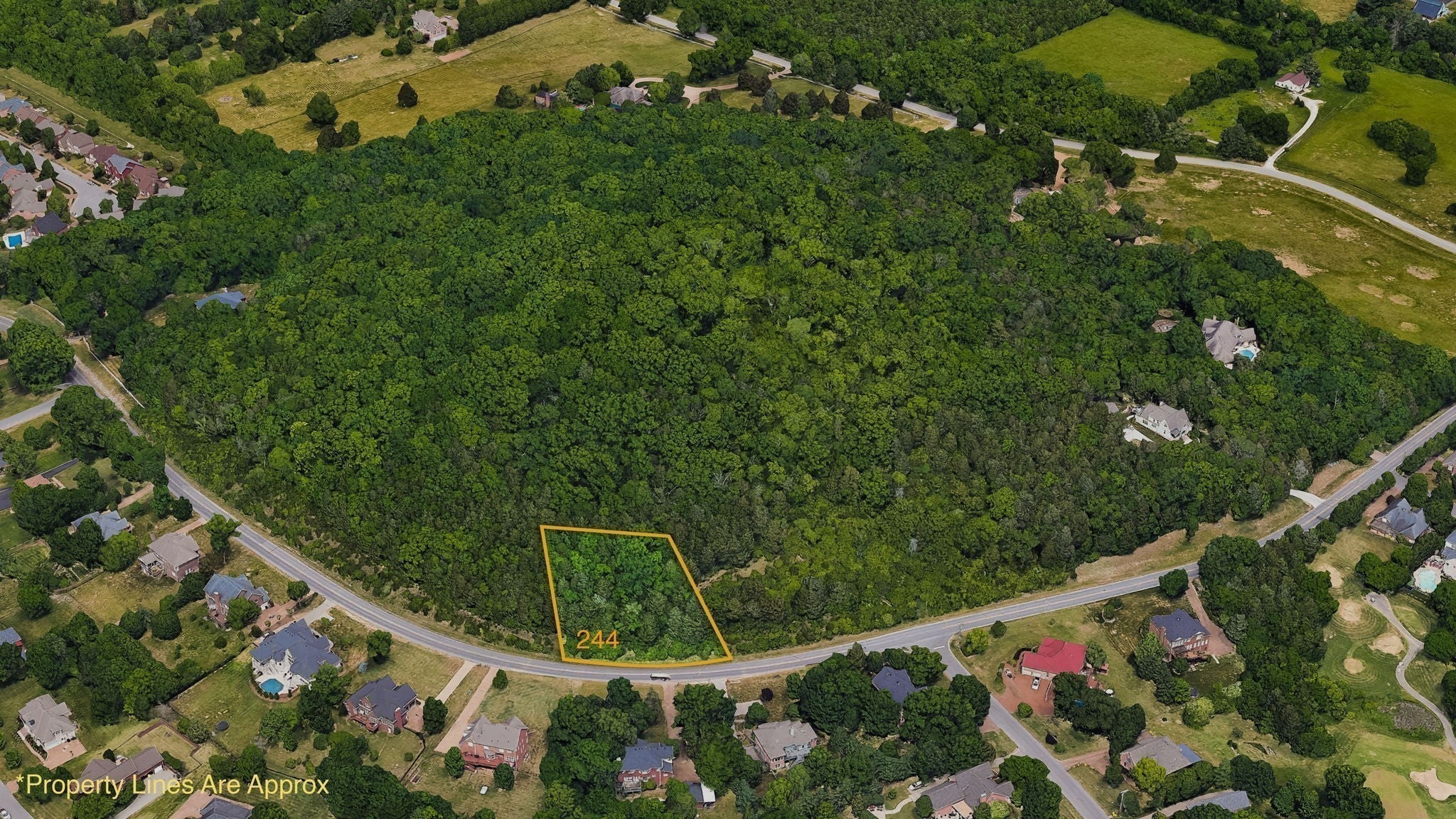 Photo of Listing #3170134