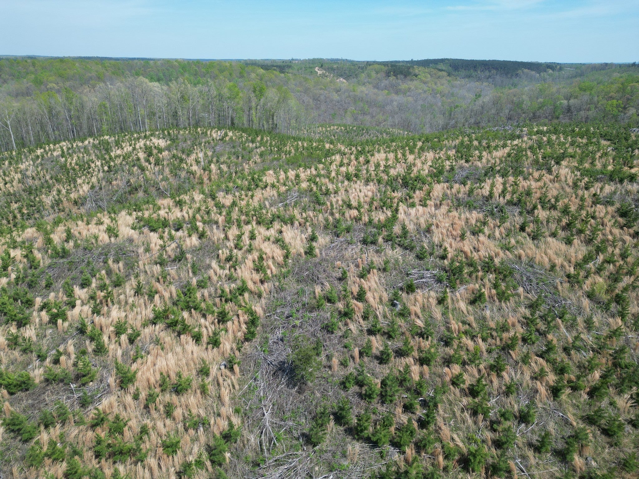 Photo of Listing #3170385