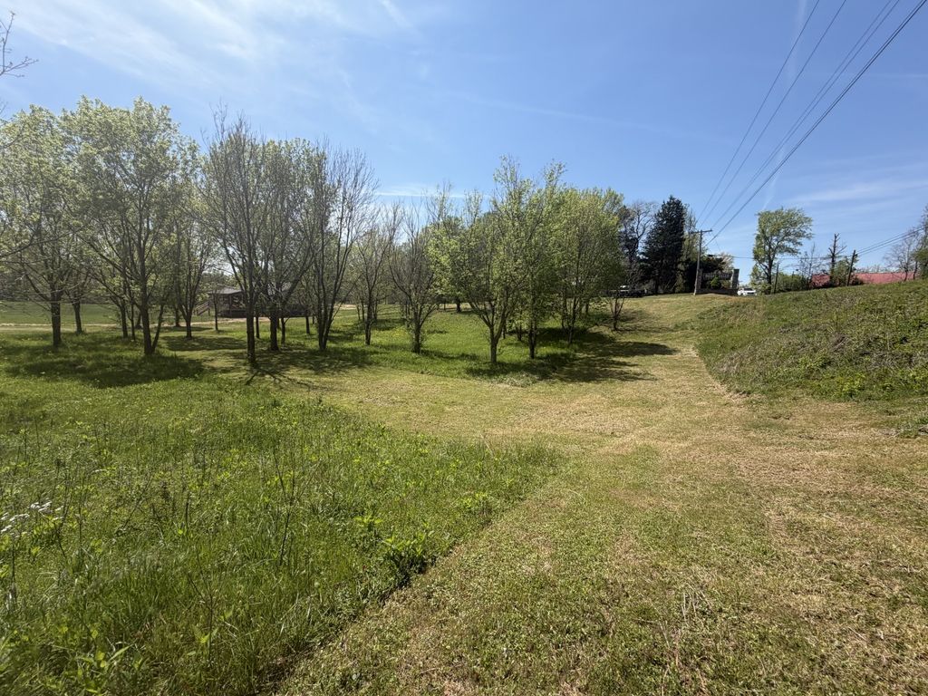 11505 Mcminnville Hwy, Walling