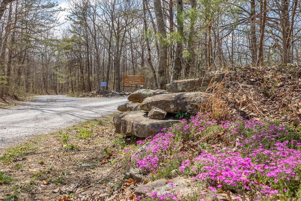 Photo of Listing #3170690