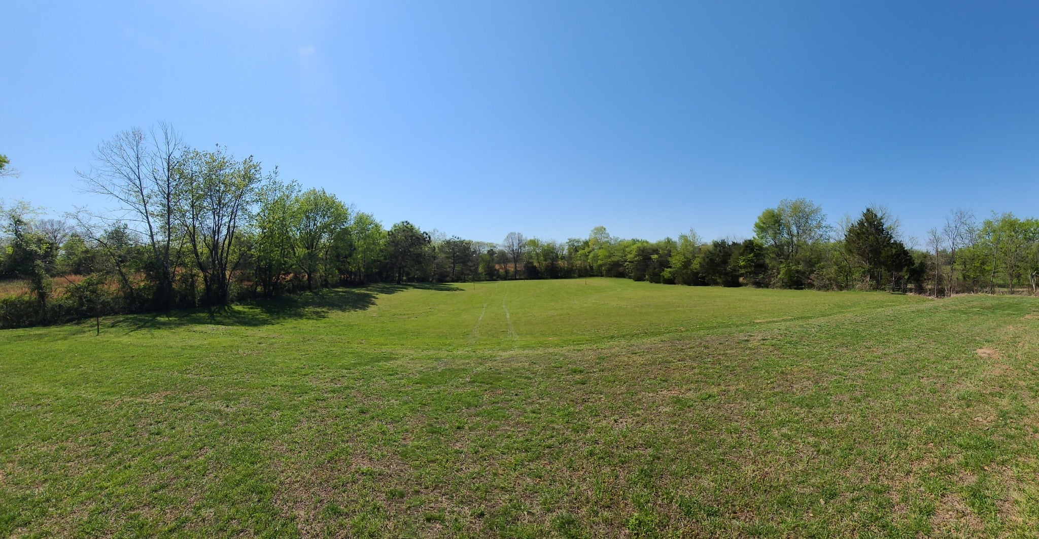 Photo of Listing #3170763