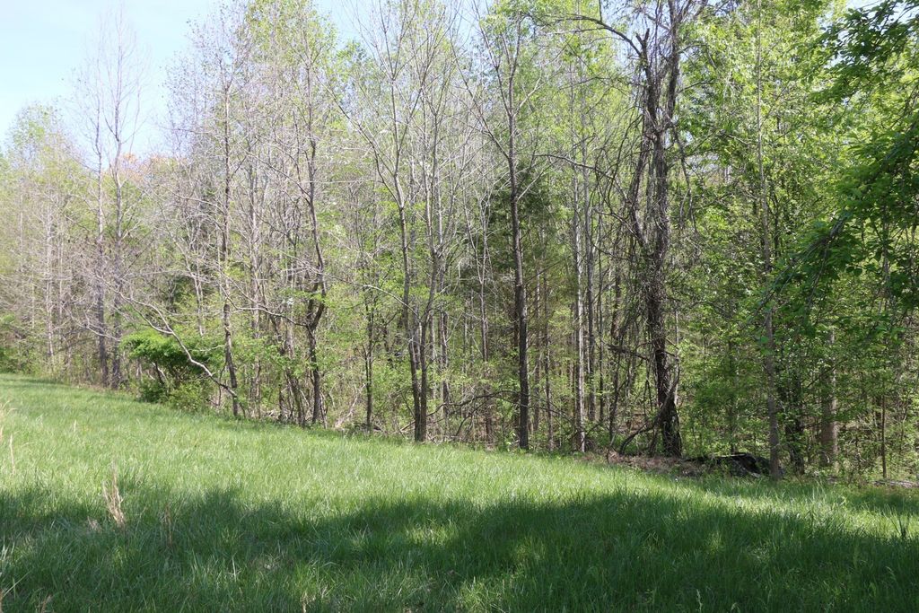 820 New Rd, Clarksville