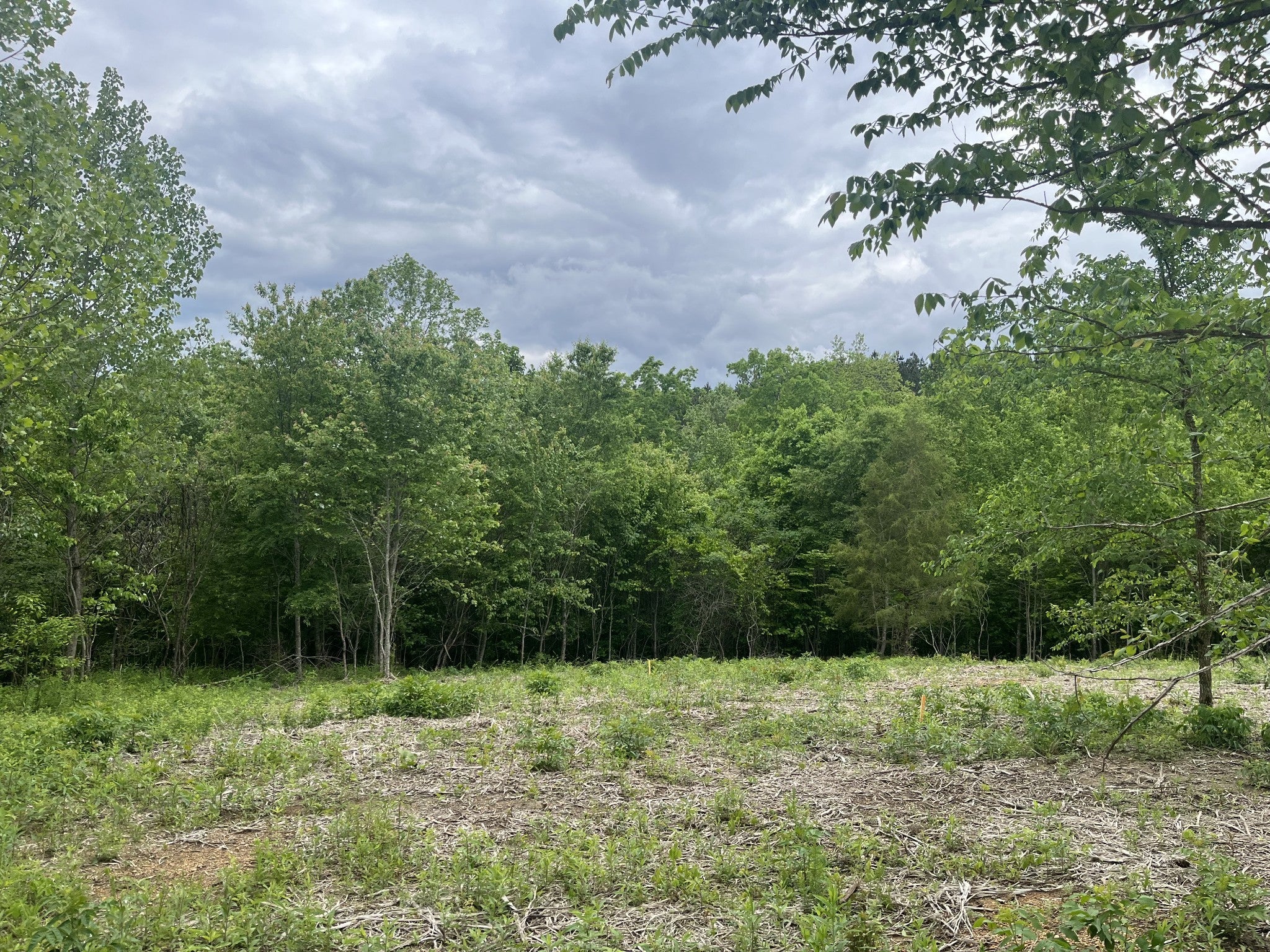 Photo of Listing #3170847