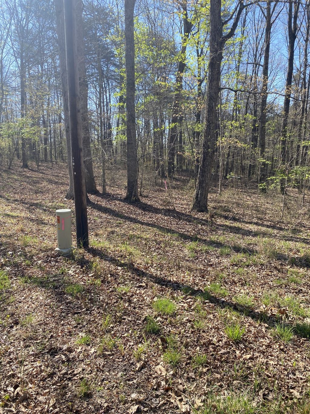 490 Haynes Rd, Sewanee