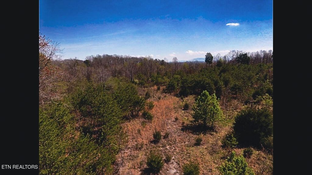 317 Mountain View Drive, Vonore