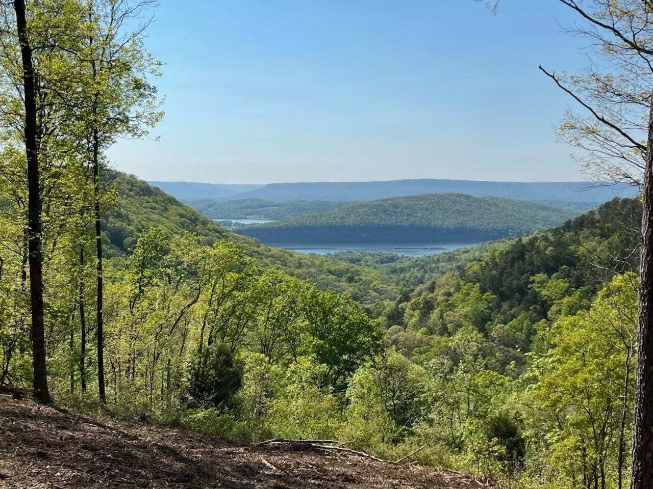 Photo of Listing #3173019