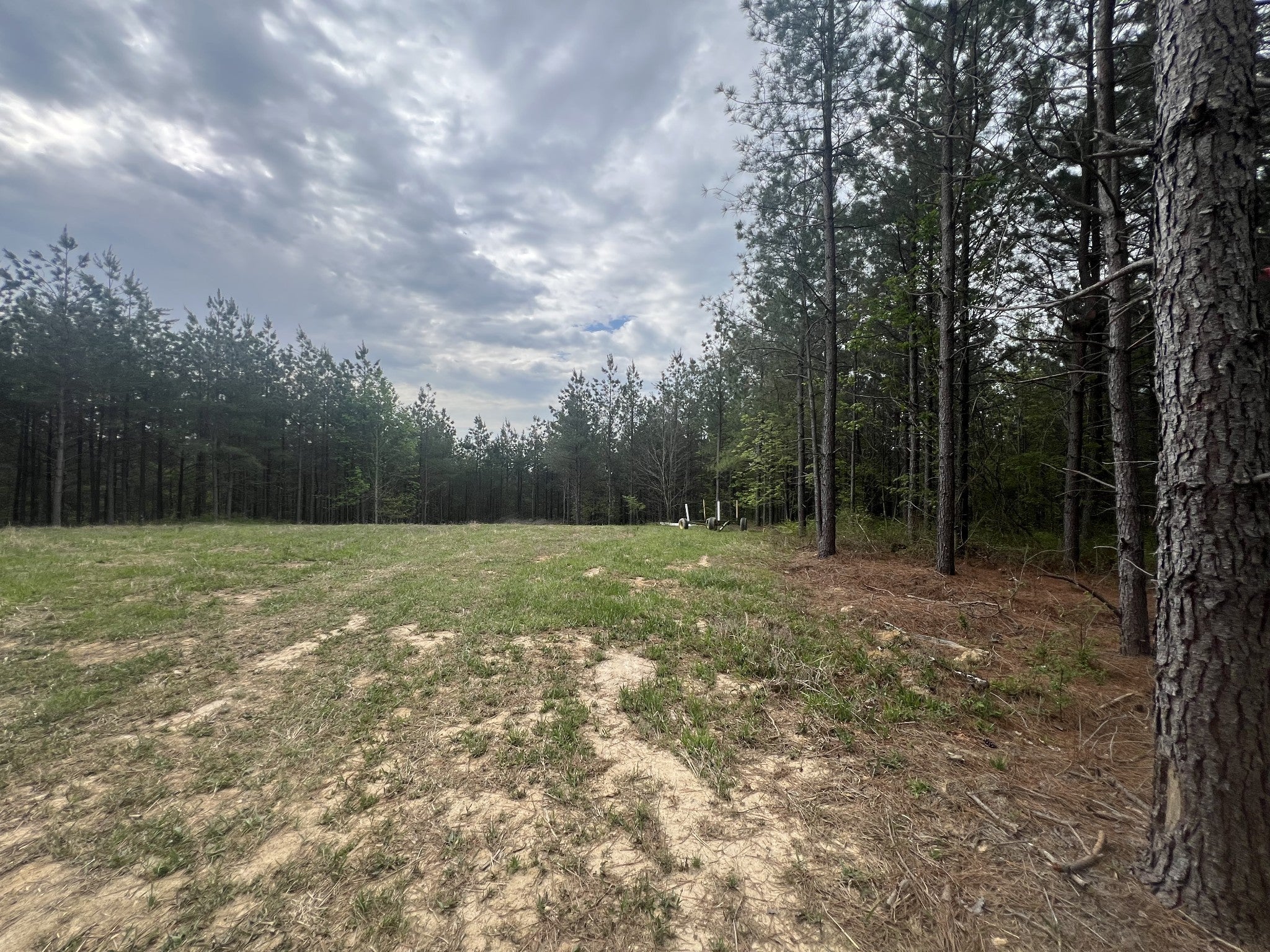 Photo of Listing #3173073