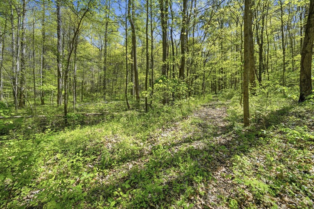 0 Green Road, Beechgrove