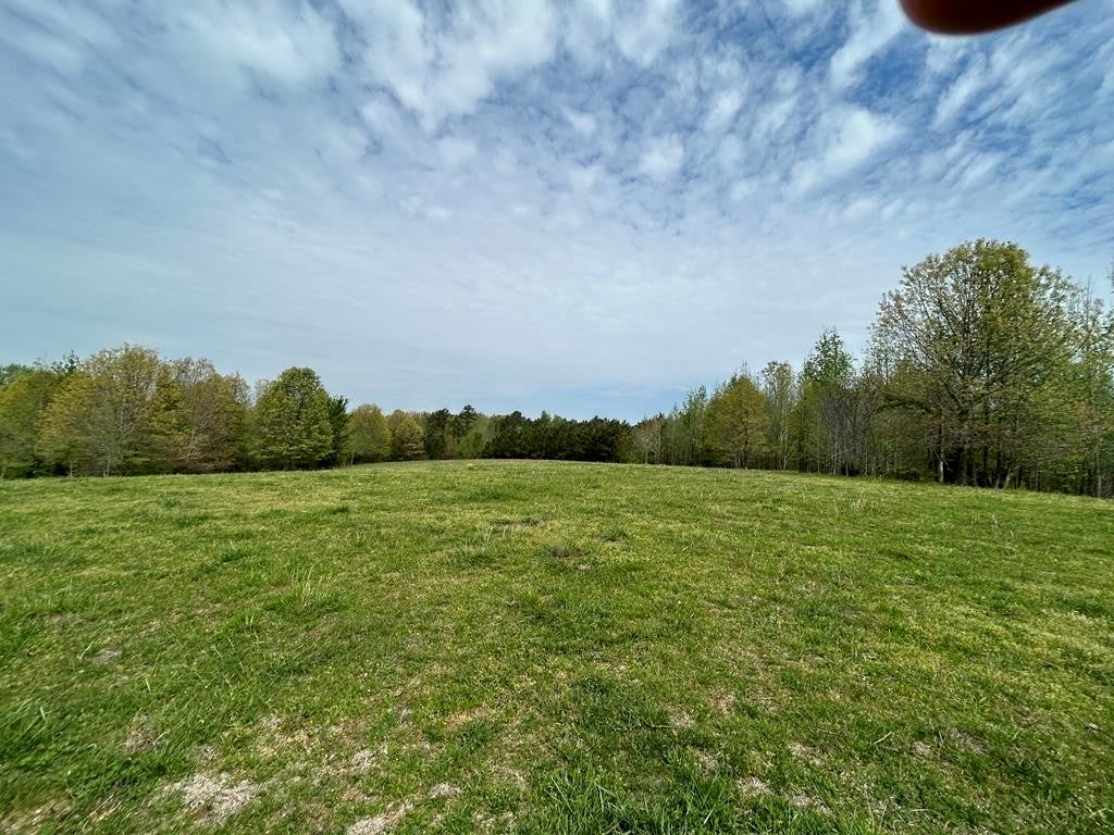 Photo of Listing #3175614