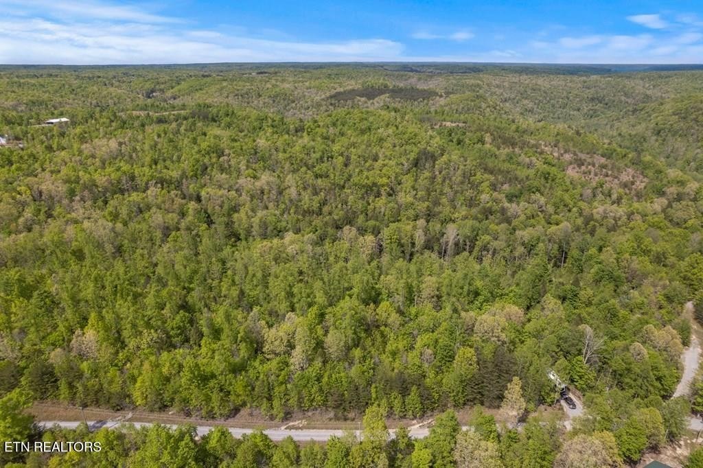 Photo of Listing #3176207