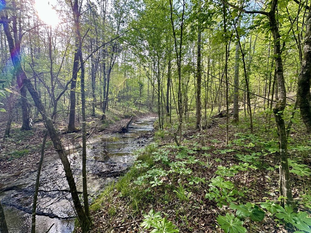 828 Mccord Hollow Rd, Hohenwald