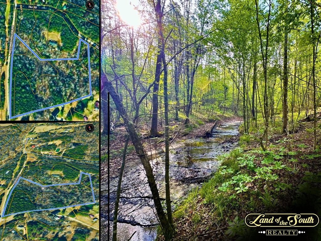 828 Mccord Hollow Rd, Hohenwald