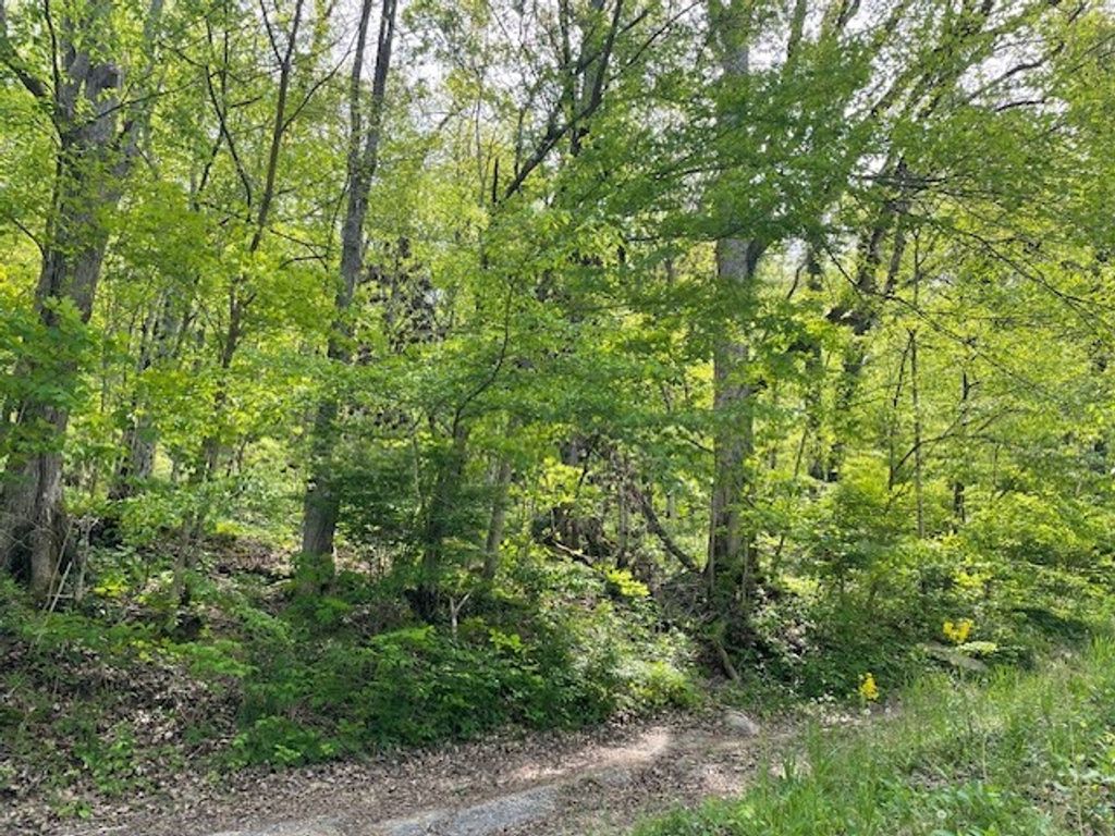 0 Bruer Dr, Smithville