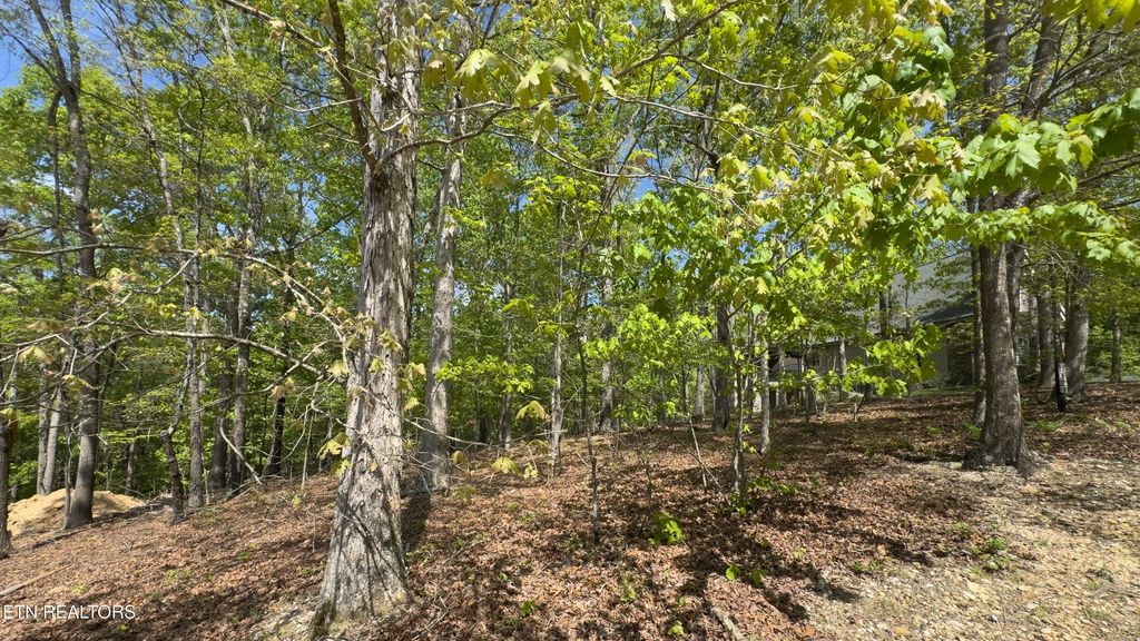 2085 Old Dogwood Tr, Loudon