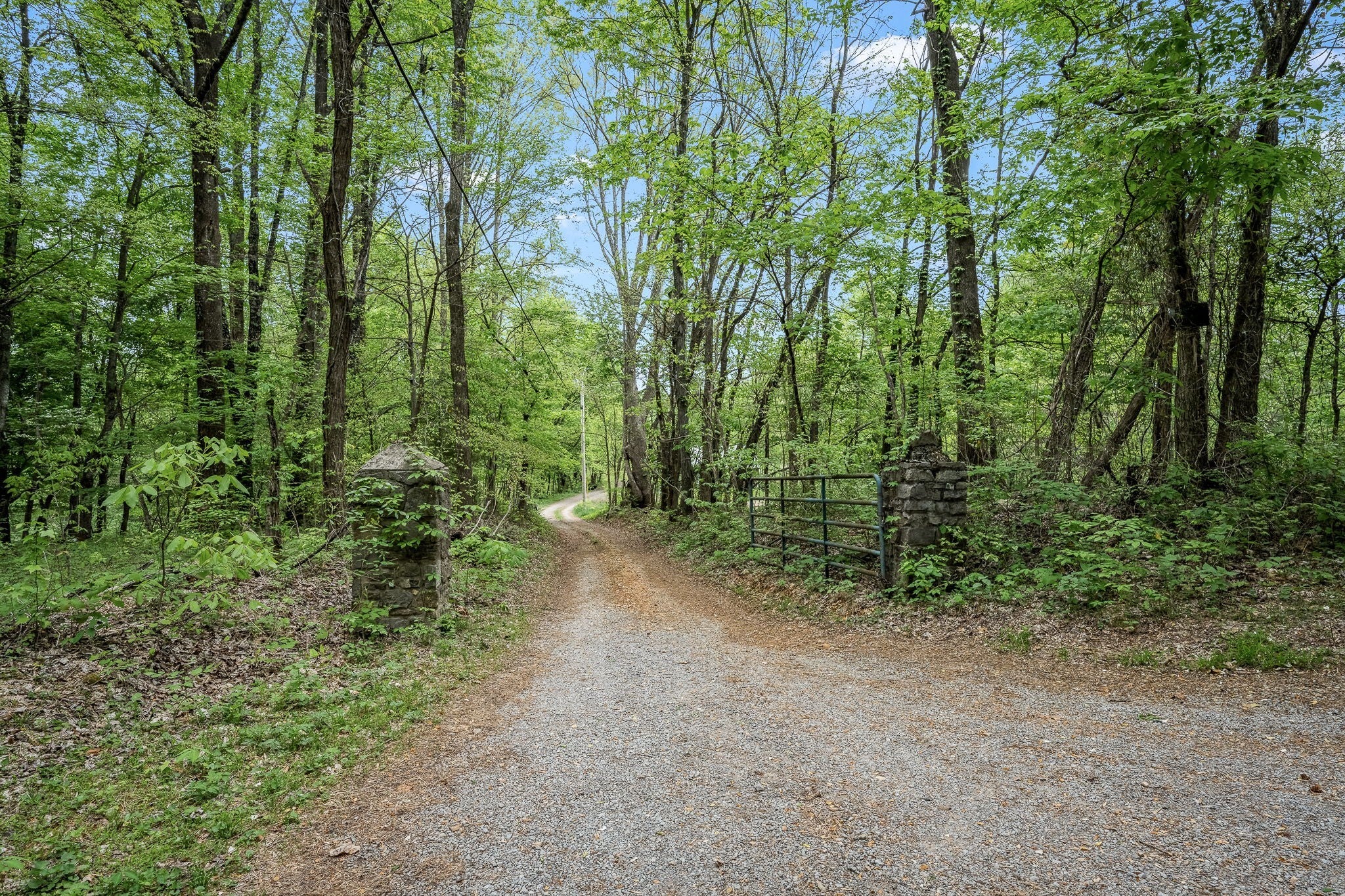 Photo of Listing #3179005