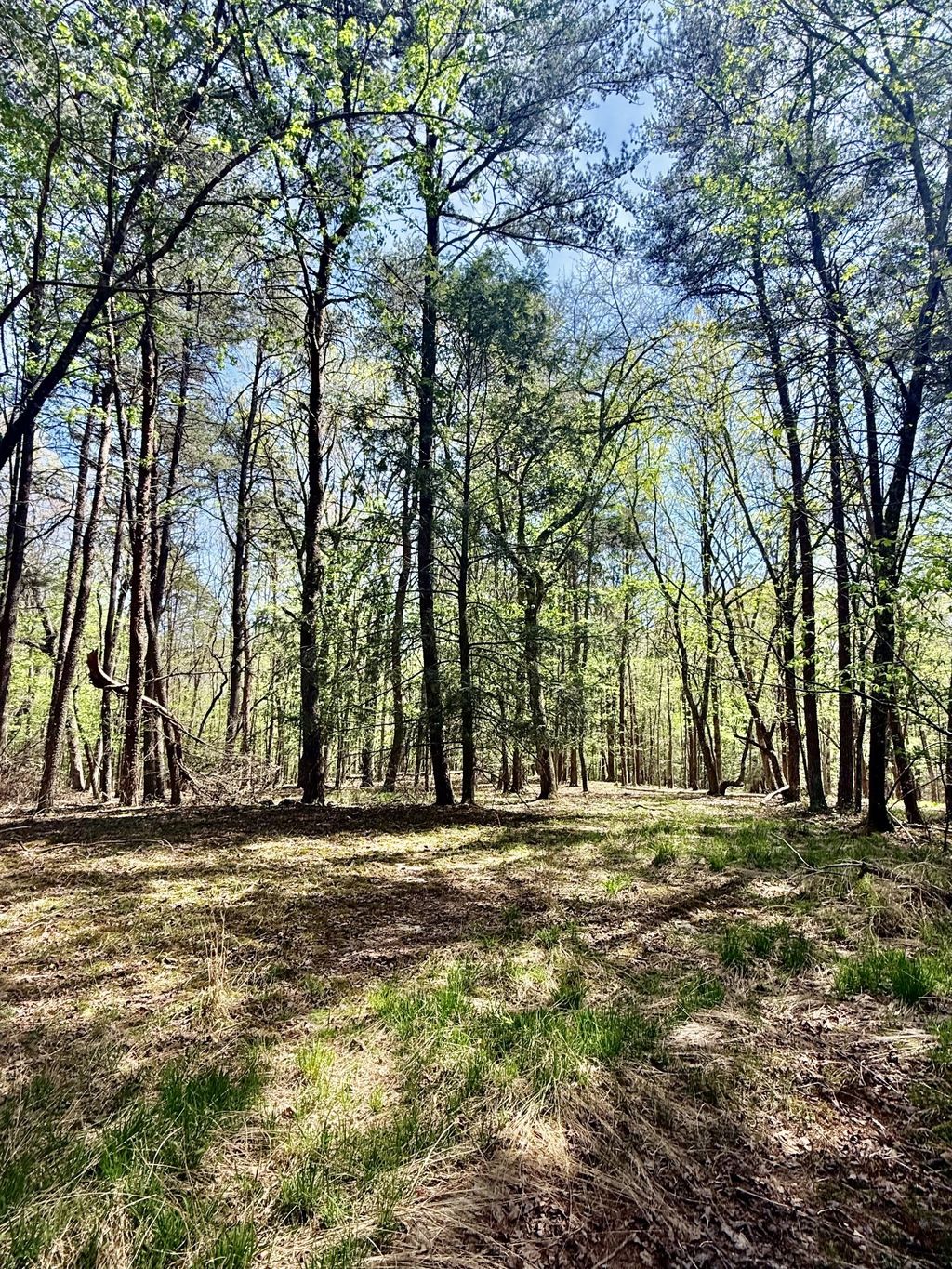 0 Timberwood Trace, Monteagle