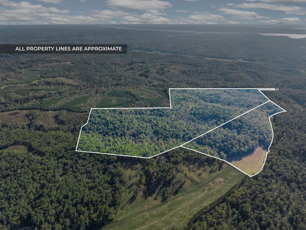 0 Cox Hollow, Dover