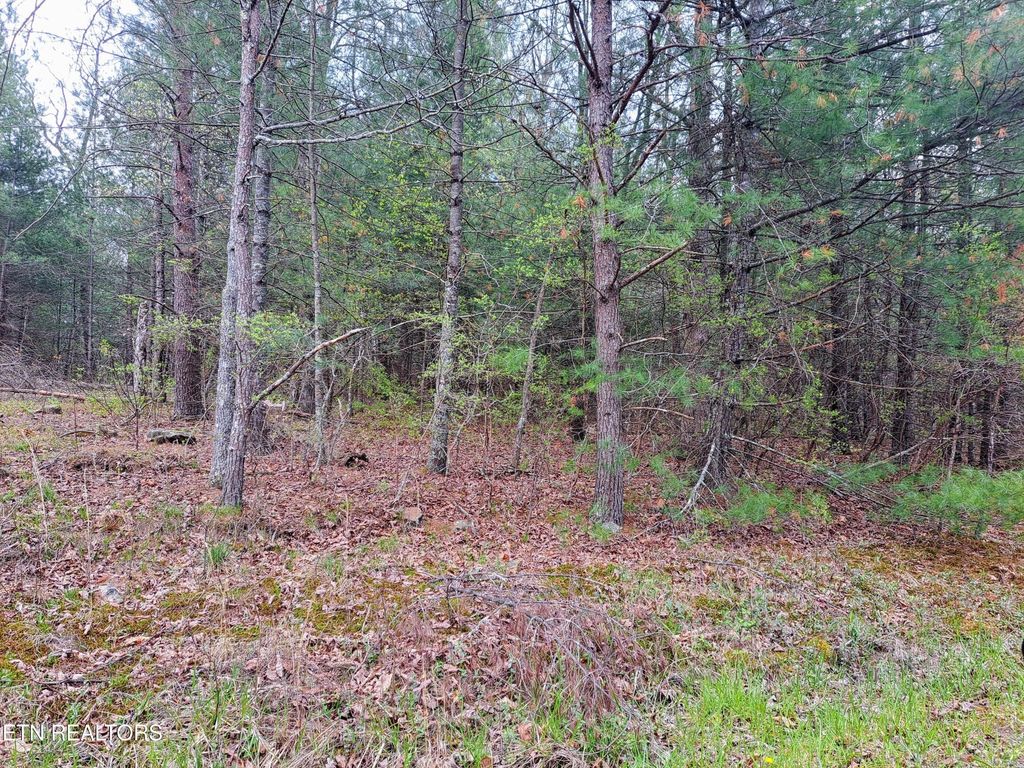 927 Paola Drive, Crossville