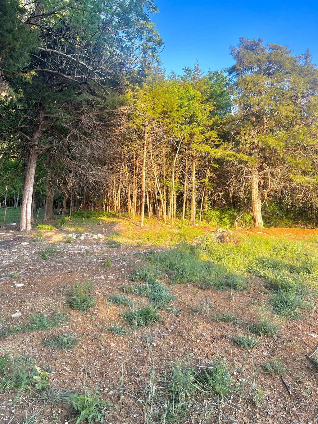 12177 Manchester Pike, Christiana