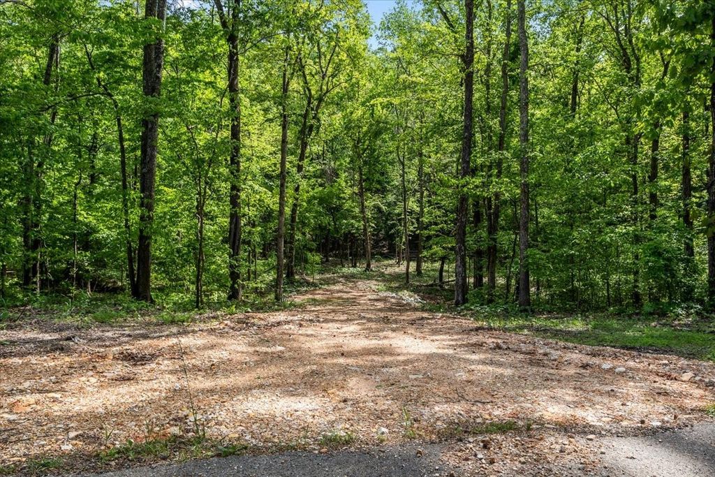 0 Rustling Oaks Dr, Waverly