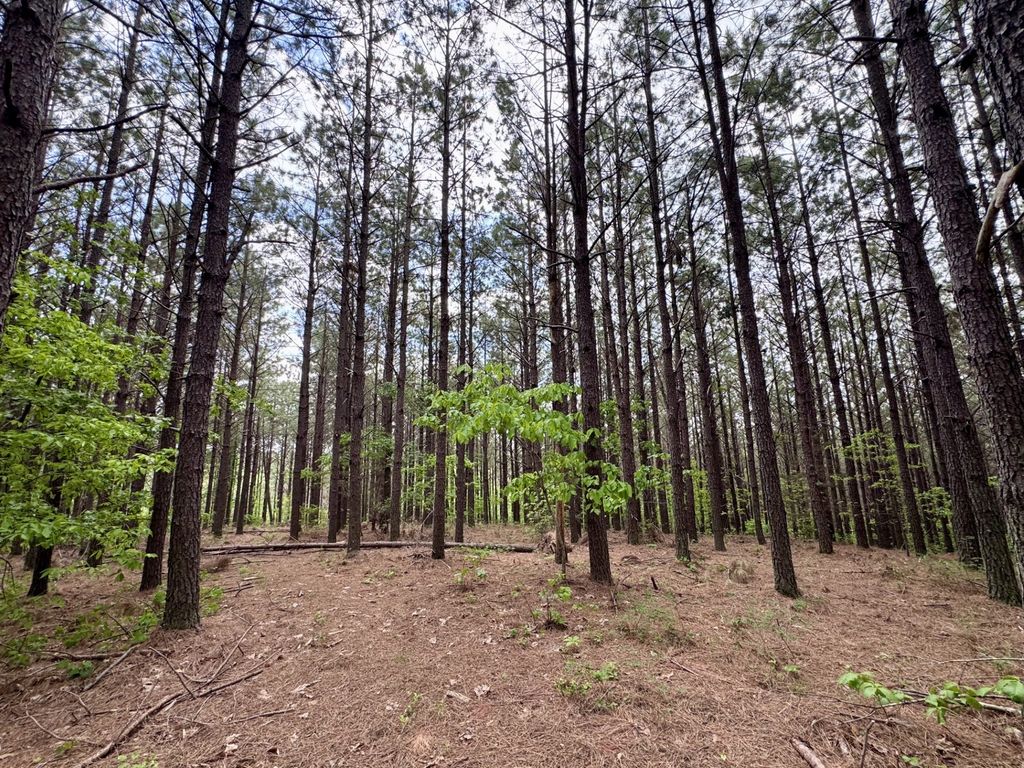 132 Rocky Top Dr, Hohenwald