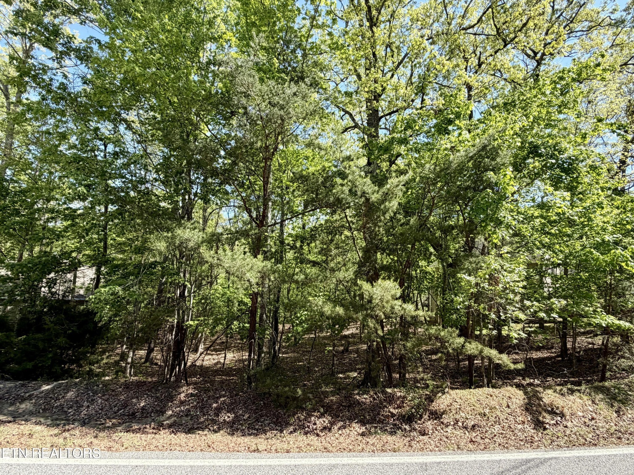 Photo of Listing #3183372