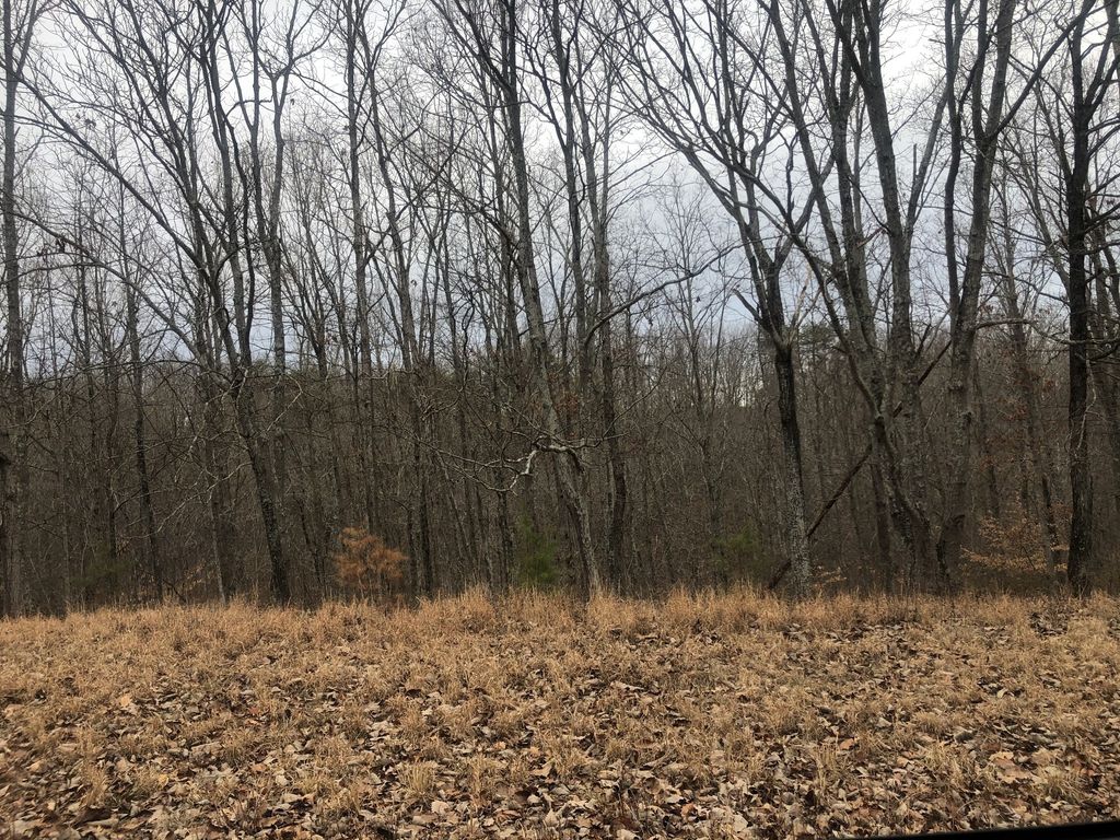 99 Deepwood Dr, Waverly