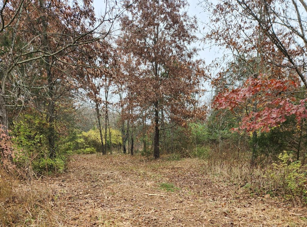 4230 Peytonsville Trinity Rd, Franklin