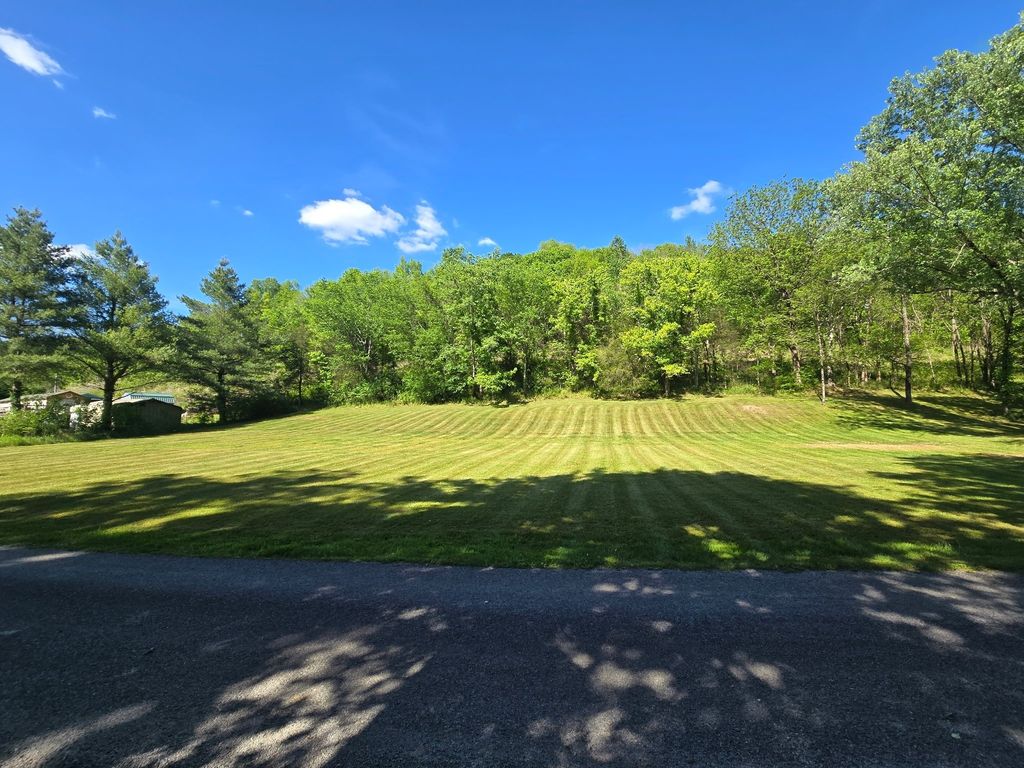 0 Dog Branch Road S, Pleasant Shade