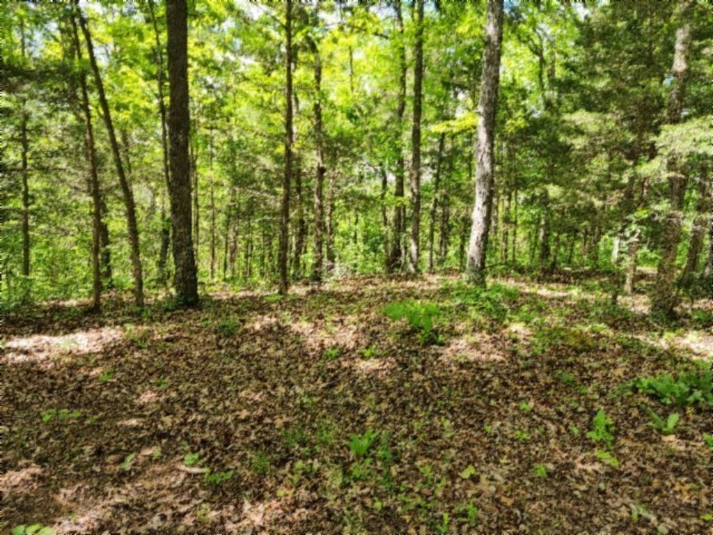 0 Froest Trails, Celina