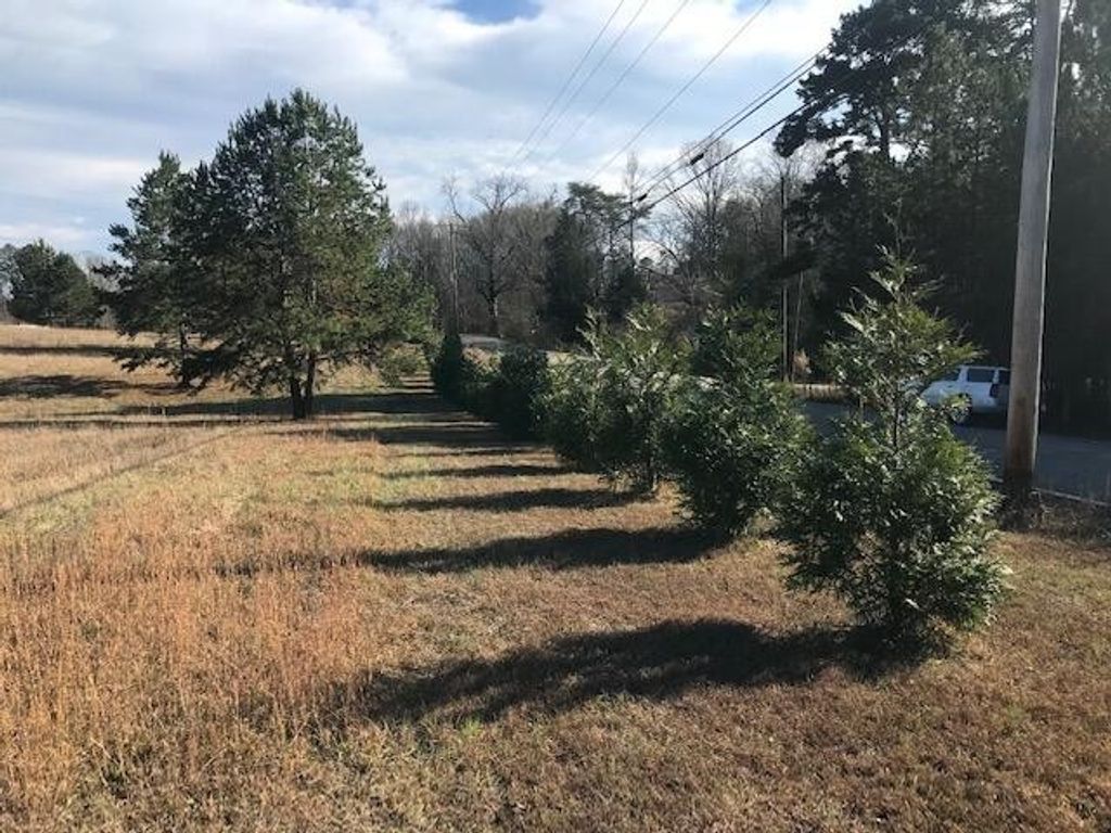16697 N Star Circle, Sale Creek