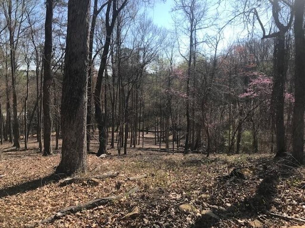 10556 Dayton Pike, Soddy Daisy