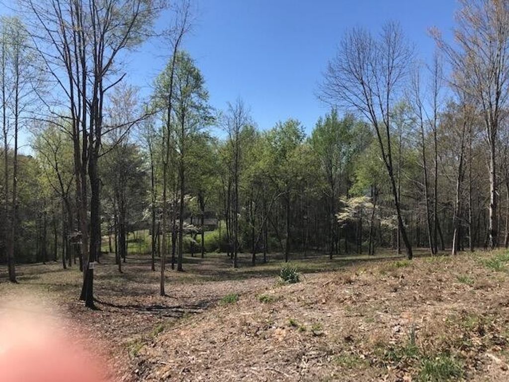 18 Piney View, Spring City