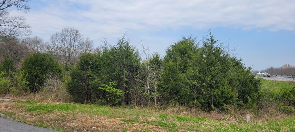 1 Whiteside Hill Rd, Shelbyville