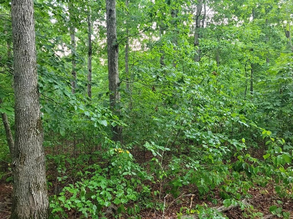 2 Haley Rd, Wartrace